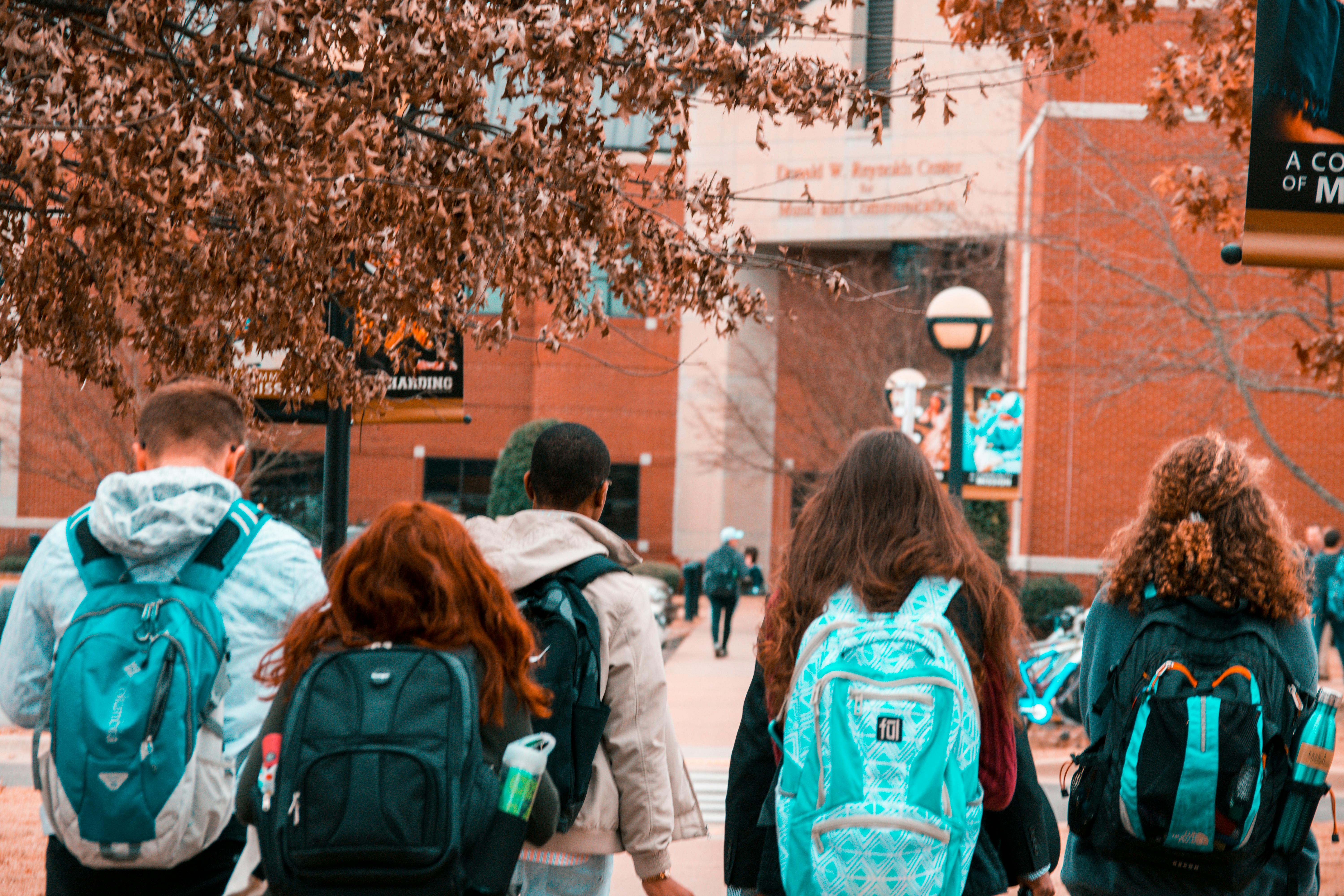 Democratising Knowledge through Affordable Online Education